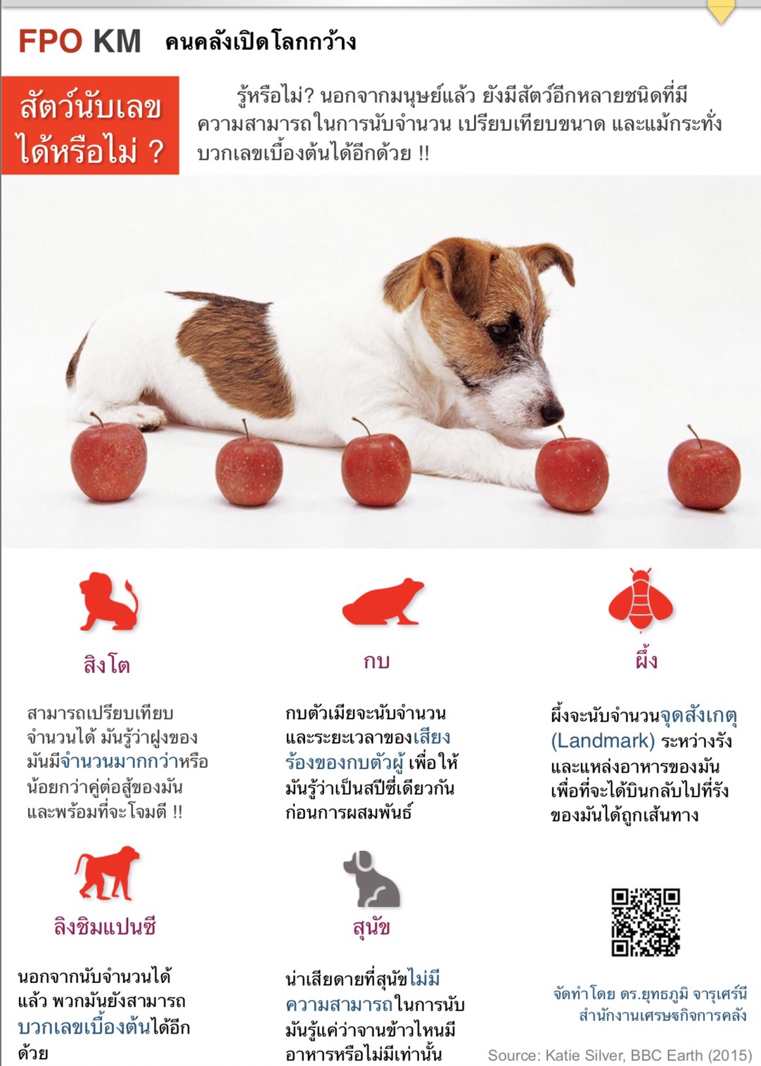 (26)-12-July-19-เปิดโลกกว้าง-สัตว์นับเลขได้หรือไม่-(1).jpg